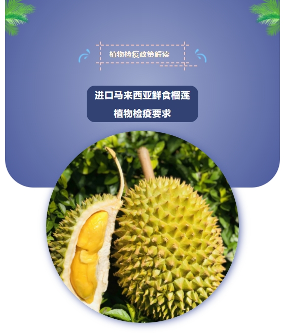 微信截图_20240715101201.png 微信截图_20240715101201.png