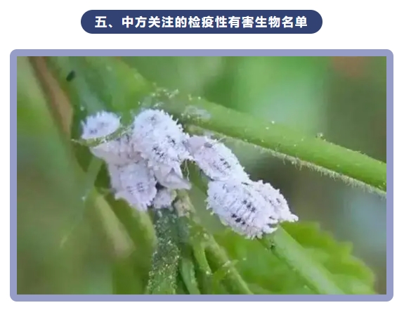 微信截图_20240715101757.png 微信截图_20240715101757.png